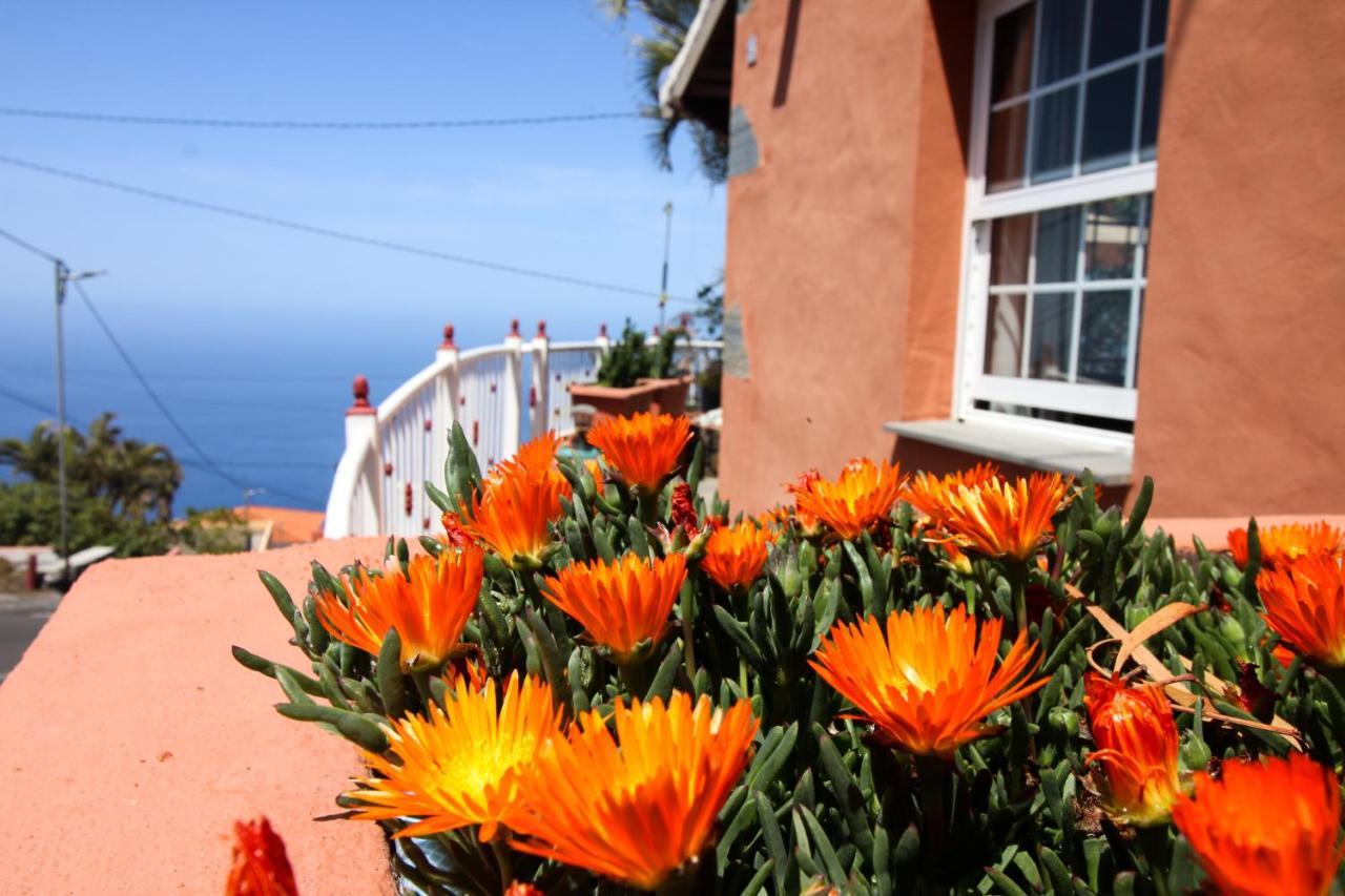 Casas Alisios
